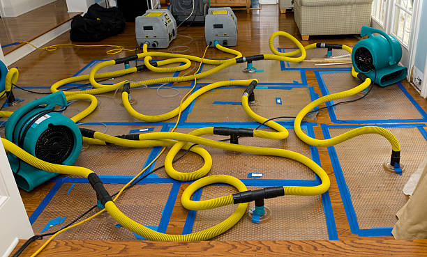 Professional Burst Pipe Water Damage technician working in North Haven, ME